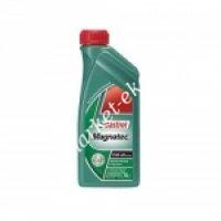 Castrol  10/40 Magn (������� �������� 10/40) 1����
